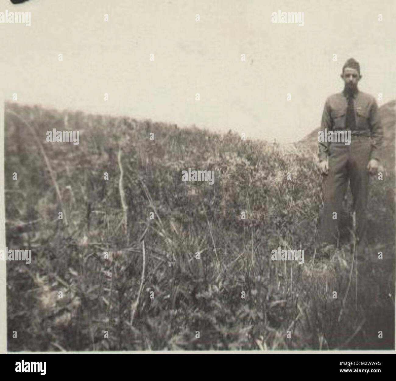 World War Two, black and white photo of soldiers in countryside Stock ...