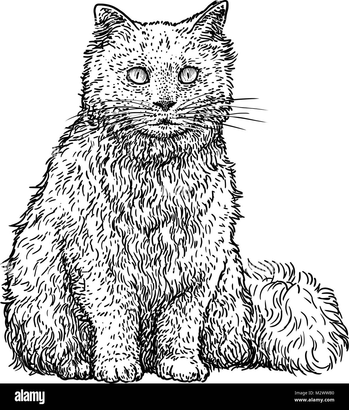 Persian cat illustration, drawing, engraving, ink, line art, vector Stock Vector