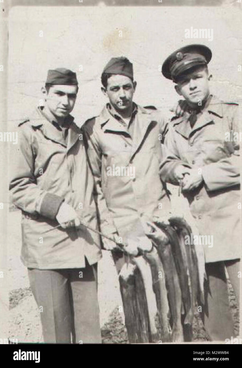 World War Two, black and white photo of soldiers in countryside Stock ...