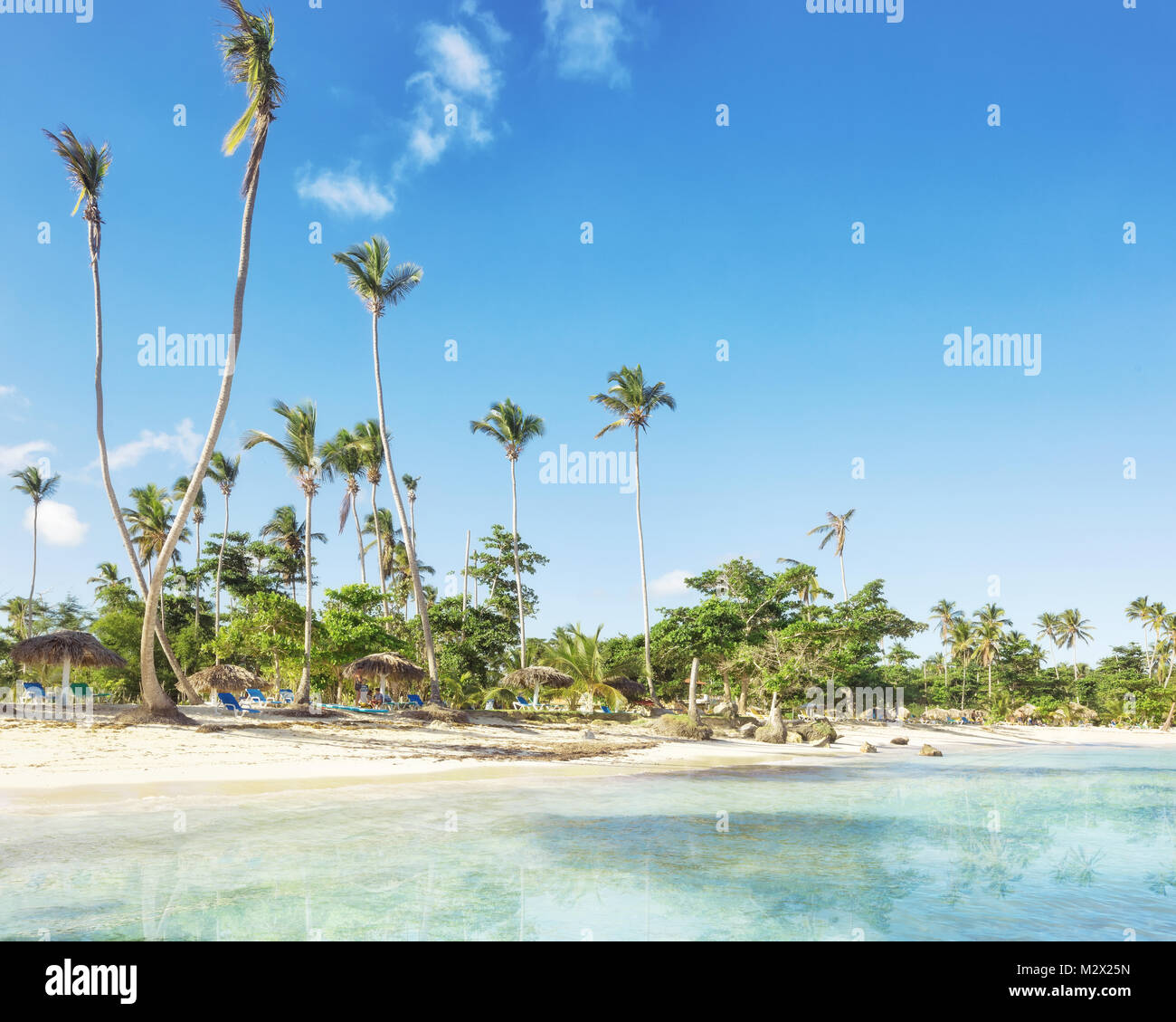 Playa Ryncon Playa rincon coconut hi-res stock photography and images - Alamy