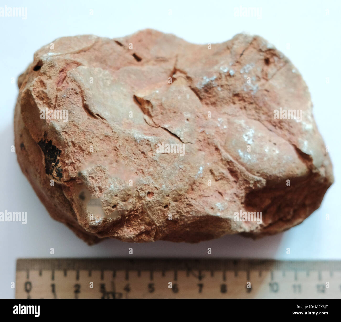 Limestone sample Stock Photo