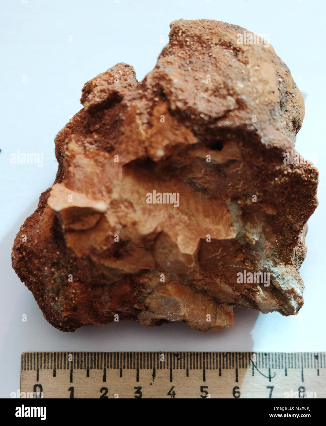 Natural specimen of argillite (claystone) rock Stock Photo