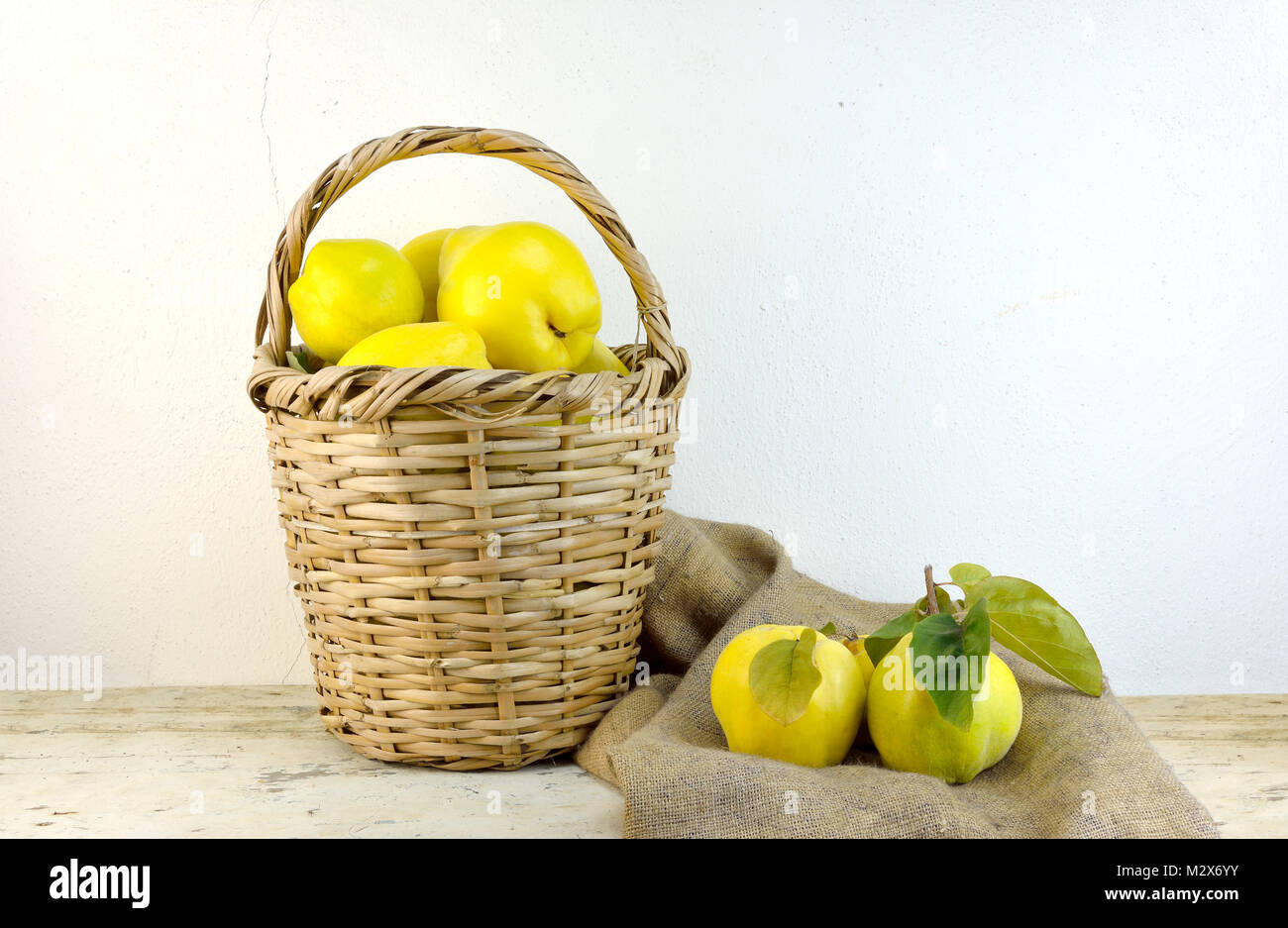 Concept with basket of fresh quinces Stock Photo