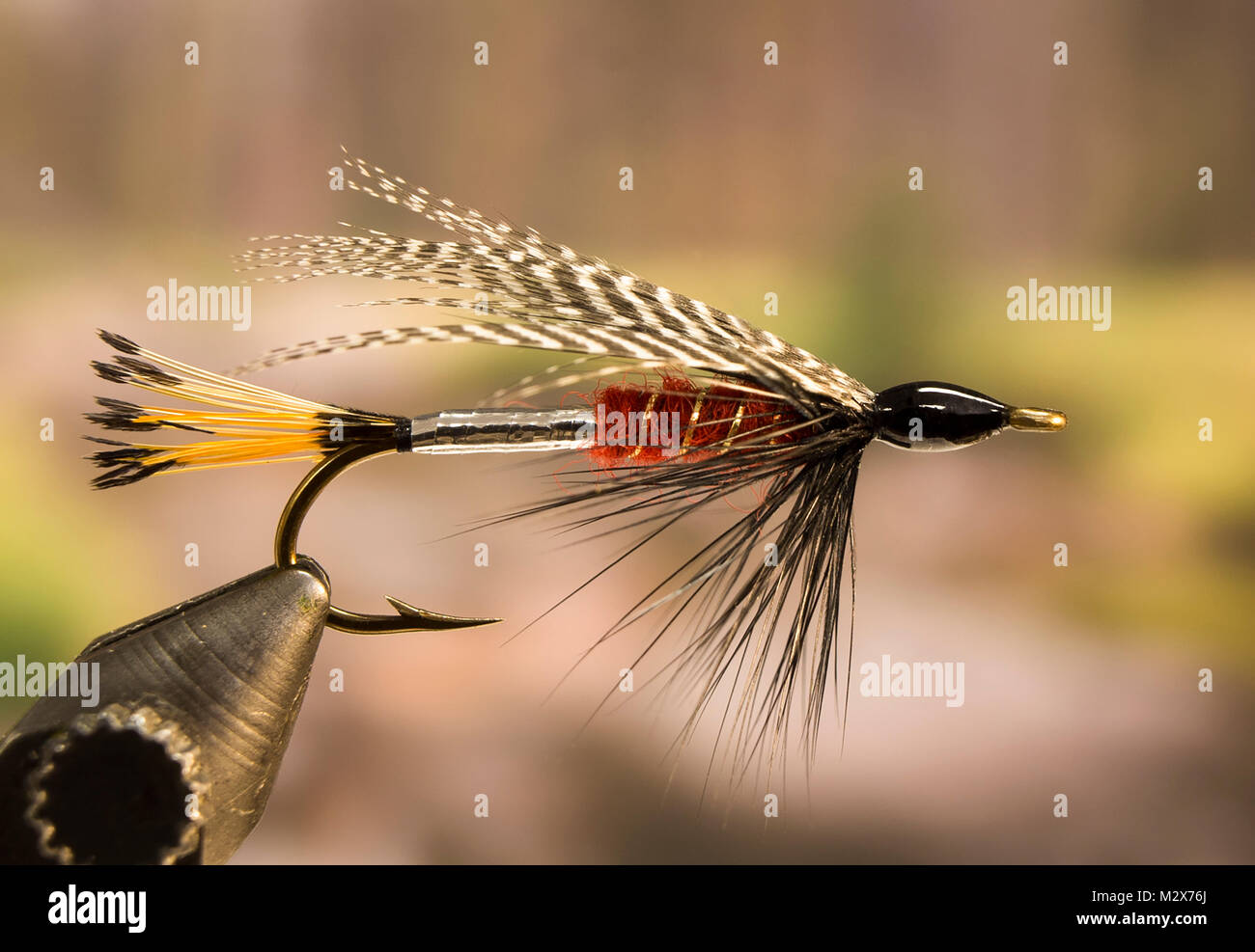 Peter Ross Streamer fishing fly Stock Photo