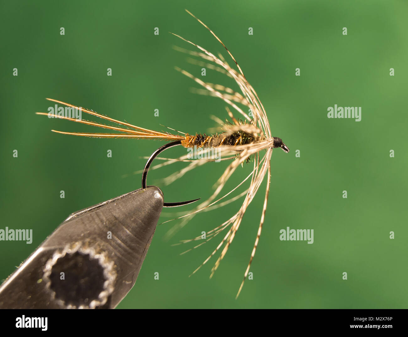 Pheasant Tail Flymph Soft Hackle wet fly Hook: TMC 103BL No.11 Tail:  ringneck pheasant tail fibers Body: wound pheasant tail Rib: fine copper  wire Stock Photo - Alamy