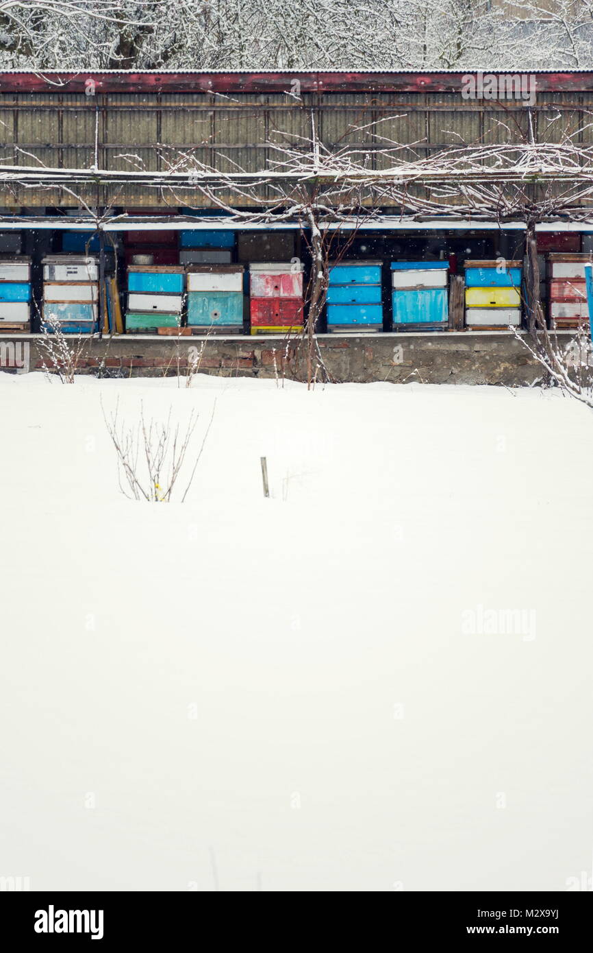Honey bee hive winter hi-res stock photography and images - Alamy