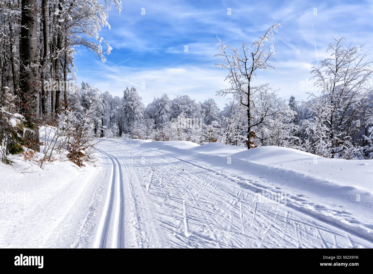 Winter mountain landscape. Trail to cross-country skiing on a mountain road,  trees covered with hoarfrost and snow, blue sky with white clouds. Stock Photo