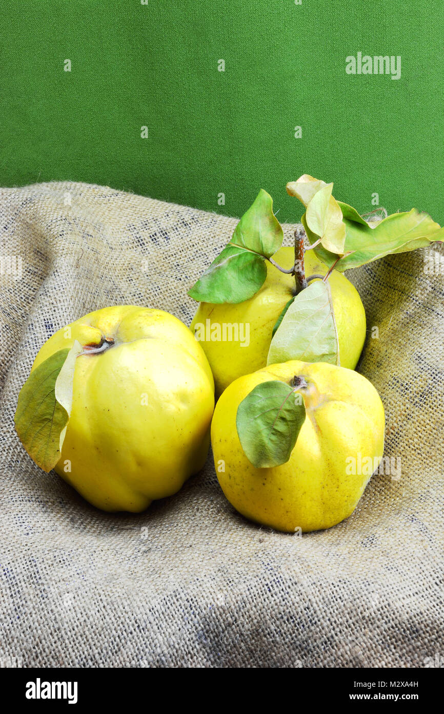 Composition of fresh quinces on green background Stock Photo