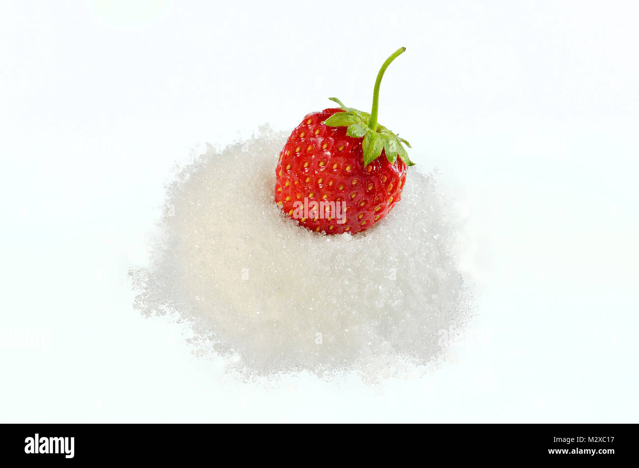 Strawberry cultivars hires stock photography and images Alamy