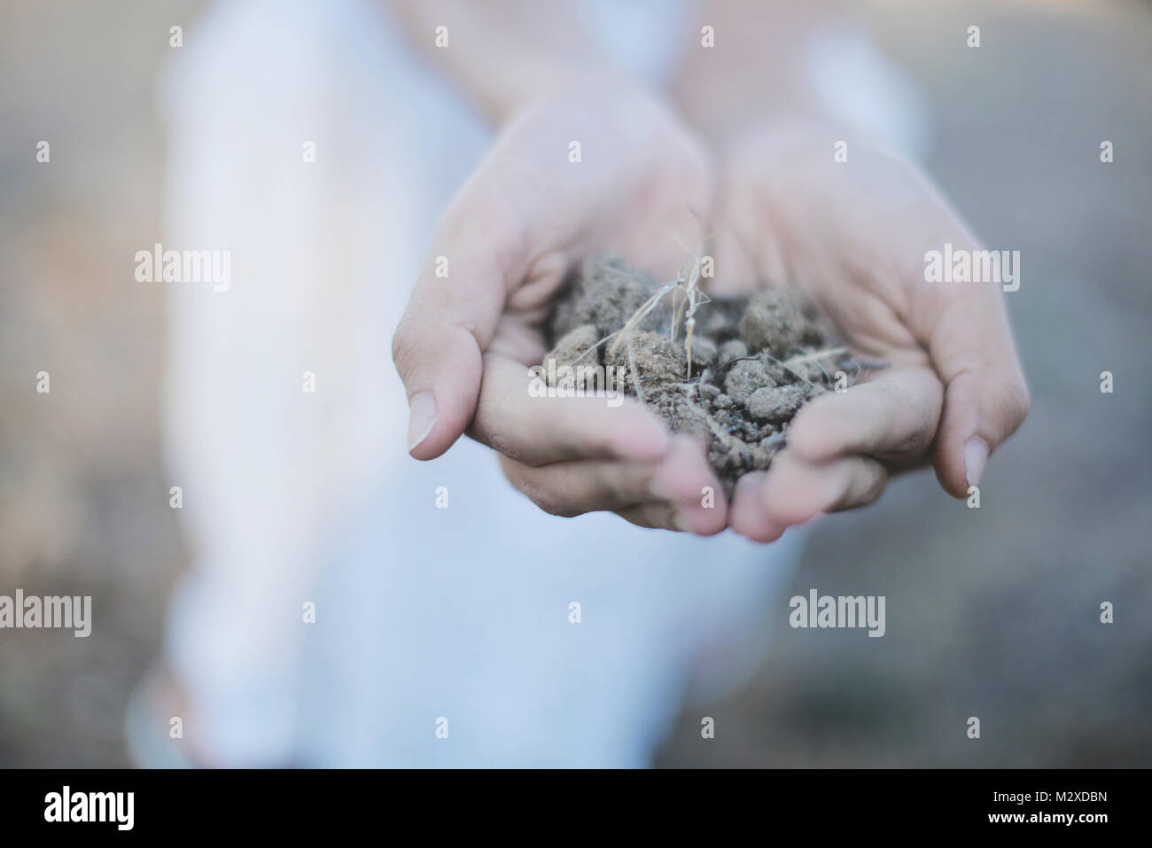 The World in Your Hands Stock Photo