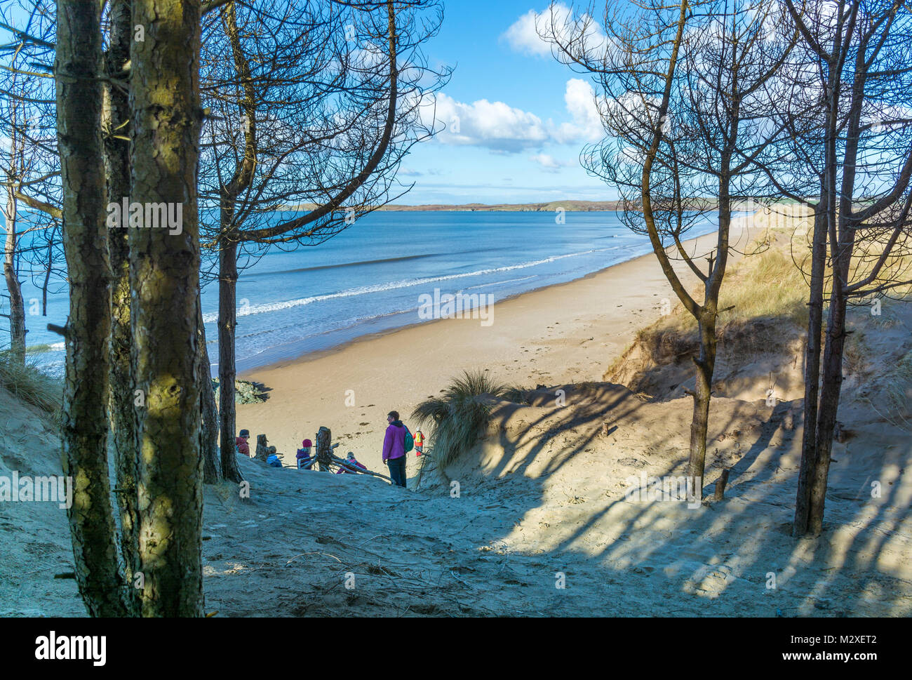 Newborough beach on Anglesey, as seen through a clearing in the trees