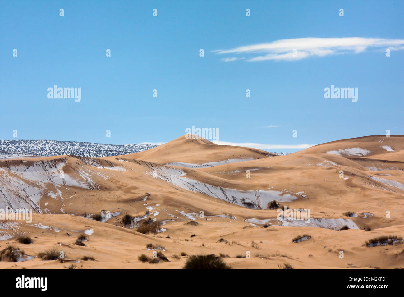 The snow in the Sahara Desert on Tuesday morning (Feb 6th) near Ain Sefra ,Algeria.The snow fell on Monday afternoon but has yet to melt,normally the snow melts within hours of it falling.  Locals were stunned to see snow on the SAND DUNES in the Sahara Desert  after it snowed for the second time this year, following nearly four decades without it. Stock Photo