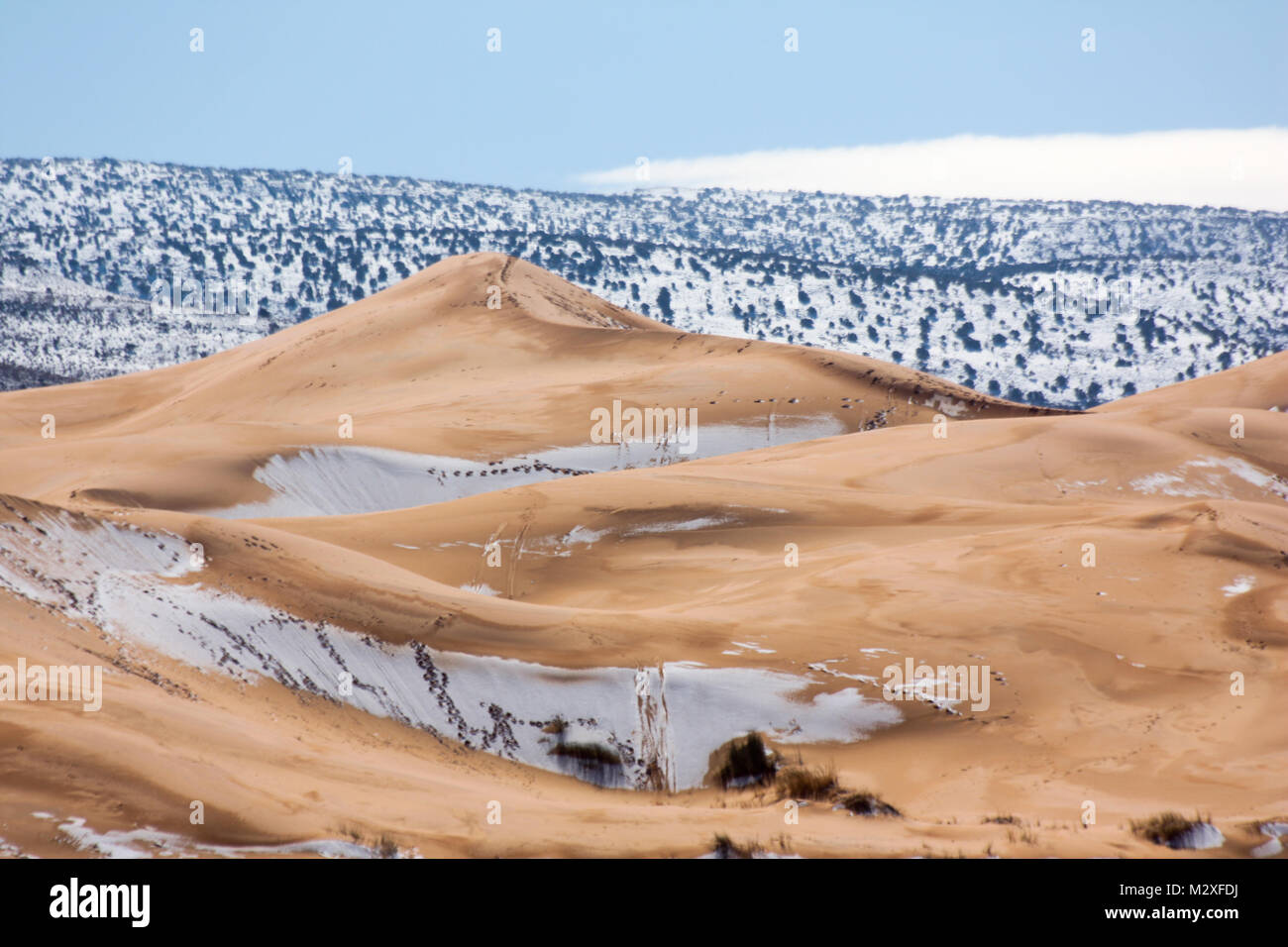 The snow in the Sahara Desert on Tuesday morning (Feb 6th) near Ain Sefra ,Algeria.The snow fell on Monday afternoon but has yet to melt,normally the snow melts within hours of it falling.  Locals were stunned to see snow on the SAND DUNES in the Sahara Desert  after it snowed for the second time this year, following nearly four decades without it. Stock Photo