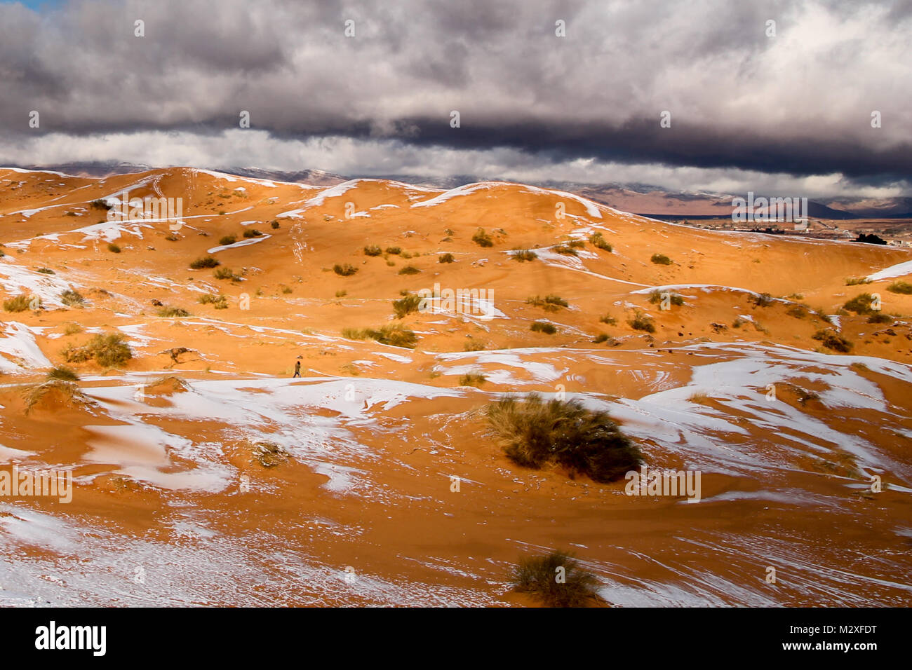 The snow in the Sahara Desert on Tuesday morning (Feb 6th) near Ain Sefra ,Algeria.The snow fell on Monday afternoon but has yet to melt,normally the snow melts within hours of it falling.  Locals were stunned to see snow on the SAND DUNES in the Sahara Desert  after it snowed for the second time this year, following nearly four decades without it. Stock Photo