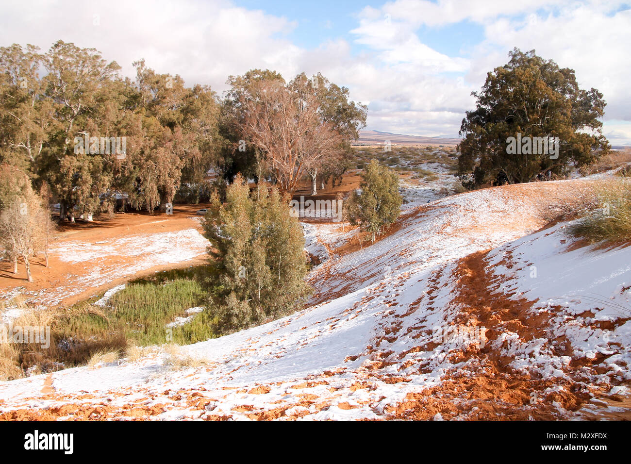 The snow in the Sahara Desert on Tuesday morning (Feb 6th) near Ain Sefra ,Algeria.The snow fell on Monday afternoon but has yet to melt,normally the snow melts within hours of it falling.  Locals were stunned to see snow on the SAND DUNES in the Sahara Desert  after it snowed for the second time this year, following nearly four decades without it. Stock Photo