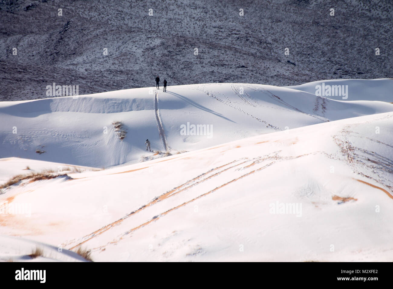 The snow in the Sahara Desert on Tuesday morning (Feb 6th) near Ain Sefra ,Algeria.The snow fell on Monday afternoon but has yet to melt,normally the snow melts within hours of it falling.  Locals were stunned to see snow on the SAND DUNES in the Sahara Desert  after it snowed for the second time this year, following nearly four decades without it. Stock Photo