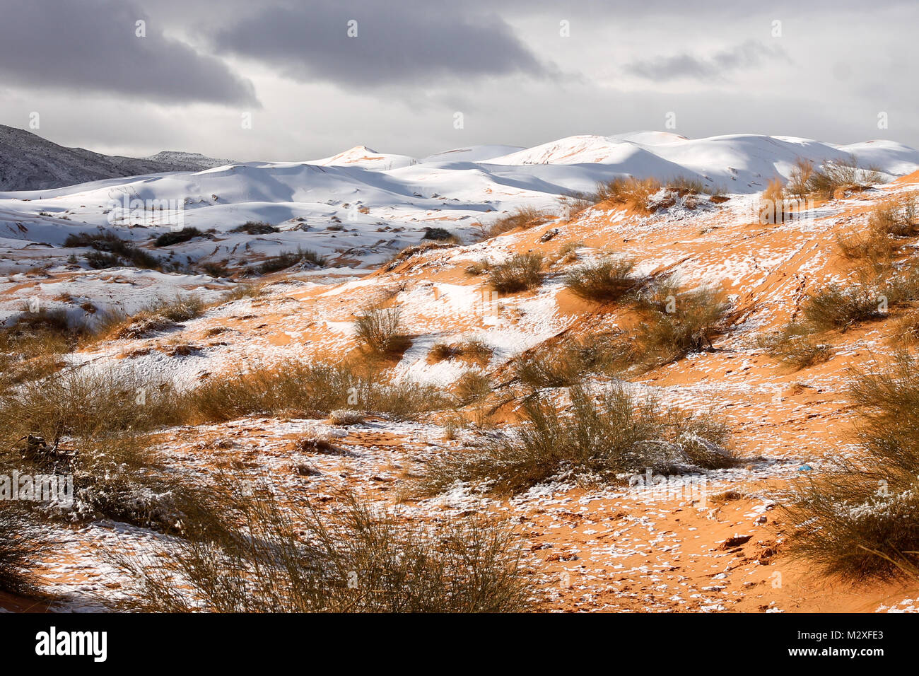 The snow in the Sahara Desert on Tuesday morning (Feb 6th) near Ain Sefra ,Algeria.The snow fell on Monday afternoon but has yet to melt,normally the snow melts within hours of it falling.  Locals were stunned to see snow on the SAND DUNES in the Sahara Desert  after it snowed for the second time this year, following nearly four decades without it. Stock Photo