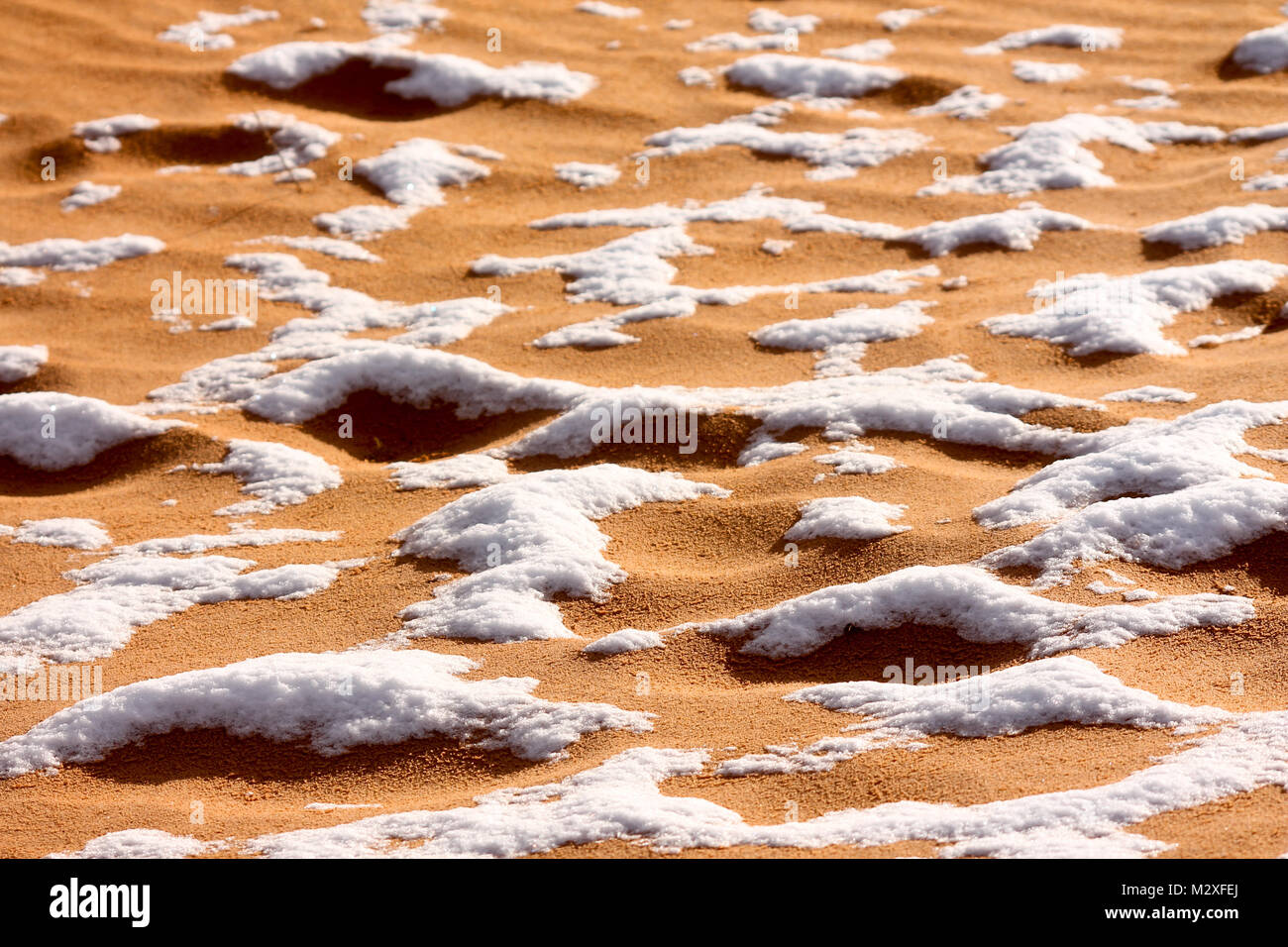 The snow in the Sahara Desert on Tuesday morning (Feb 6th) near Ain Sefra ,Algeria.The snow fell on Monday afternoon but has yet to melt,normally the snow melts within hours of it falling.  Locals were stunned to see snow on the SAND DUNES in the Sahara Desert  after it snowed for the second time this year, following nearly four decades without it. Stock Photo