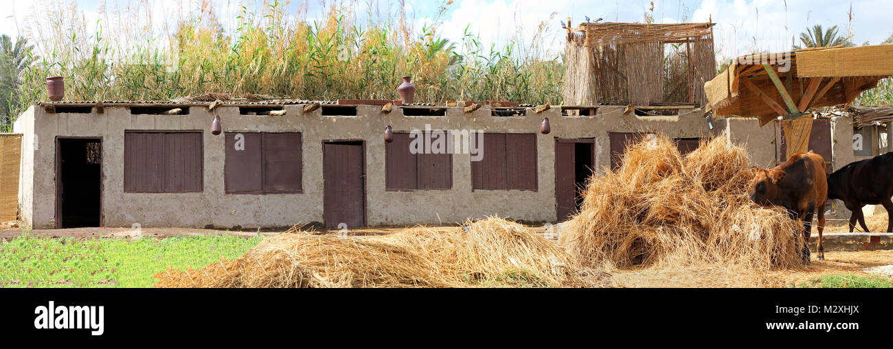A Rudimentary Stable Primitive agriculture hi-res stock photography and images - Alamy