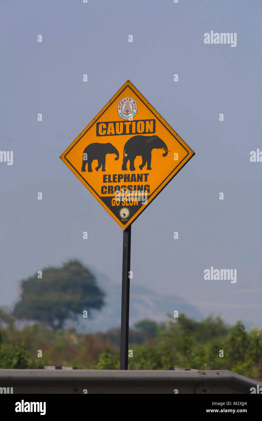 India, Tamil Nadu, Perandapalli, Sign Elephant crossing Stock Photo