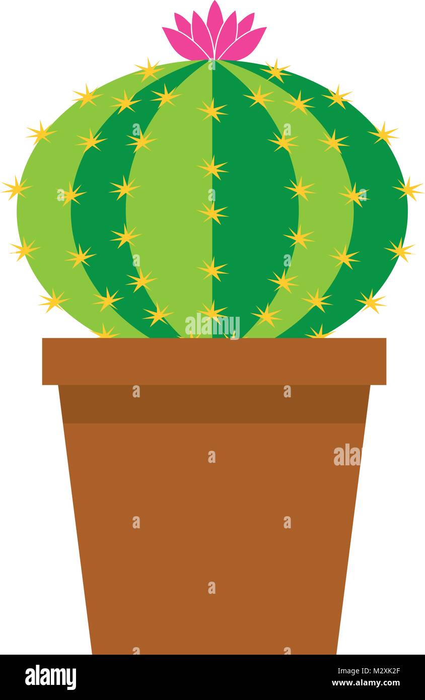 vector illustration of a cute cartoon cactus with pink flower in pot isolated on white background Stock Vector Image & Art - Alamy vector illustration of a cute cartoon cactus with pink flower in pot isolated on white background Stock Vector Image & Art - Alamy