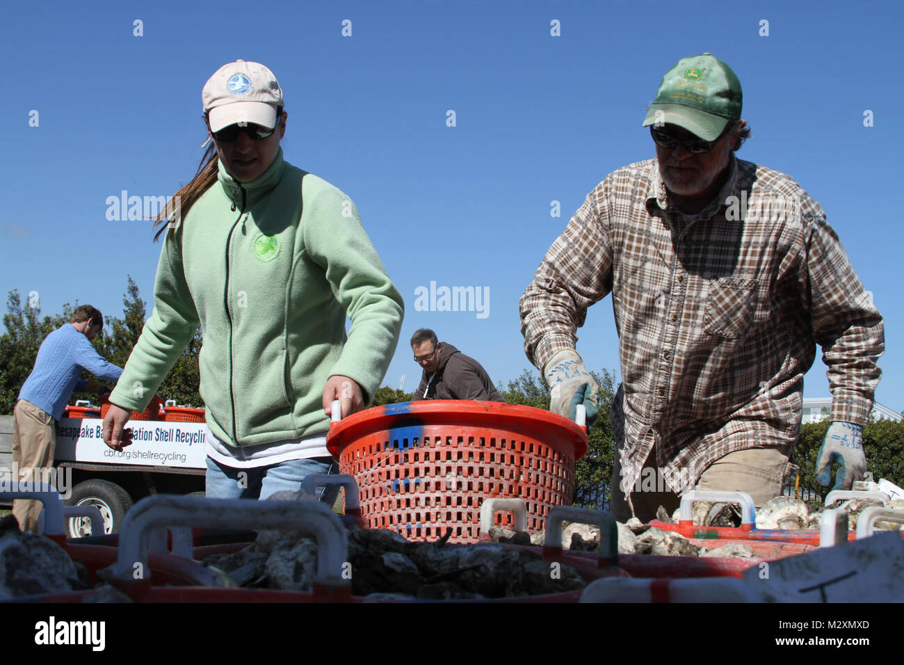 Jackie Shannon and Tommy Legget, both of the Chesapeake Bay Foundation,unload 60 bushels of oyster shell at Fort Norfolk April 2, 2012. The Chesapeake Bay Foundation delivered the 60 bushels to support the oyster restoration efforts of the Norfolk District, U.S. Army Corps of Engineers, and fourth graders from Virginia Beach’s Seatack Elementary School. The district and the school partnered in 2011 to grow baby oysters in floats and this spring they will build an oyster reef to help restore the oyster population and improve the health of the Elizabeth River and the Chesapeake Bay. (U.S. Army p Stock Photo