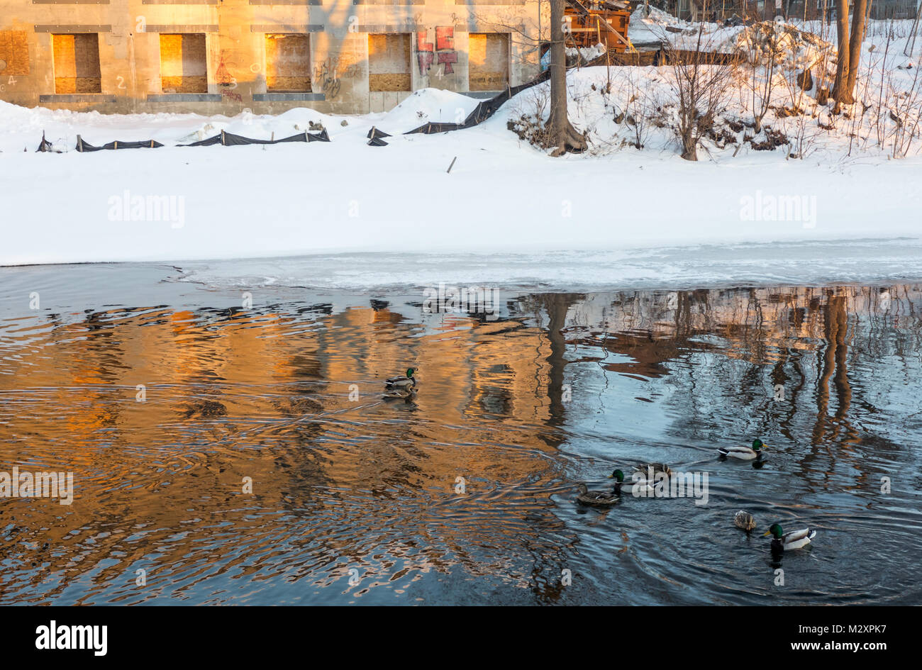 Old Purdys Mill Lindsay Ontario Stock Photo Alamy