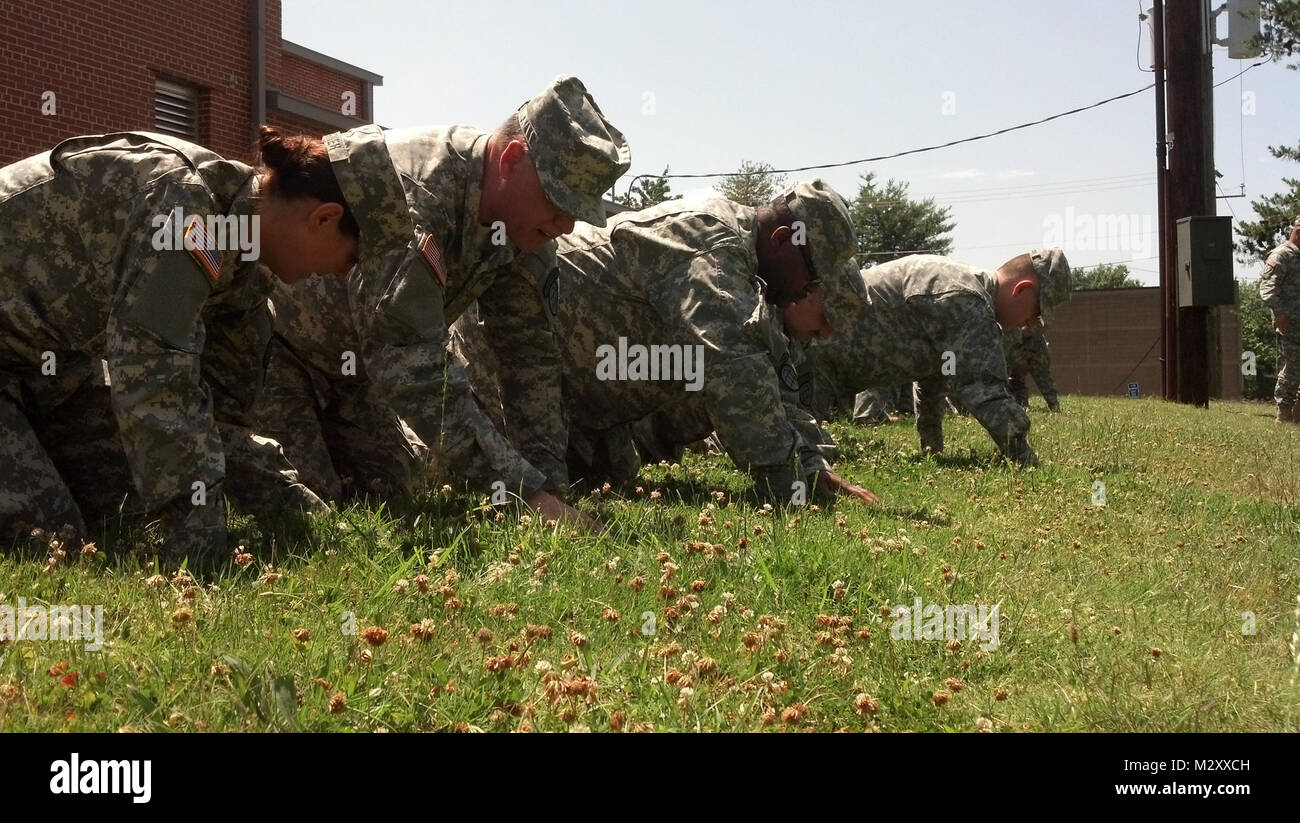 GSDF grid search training by Georgia National Guard Stock Photo - Alamy