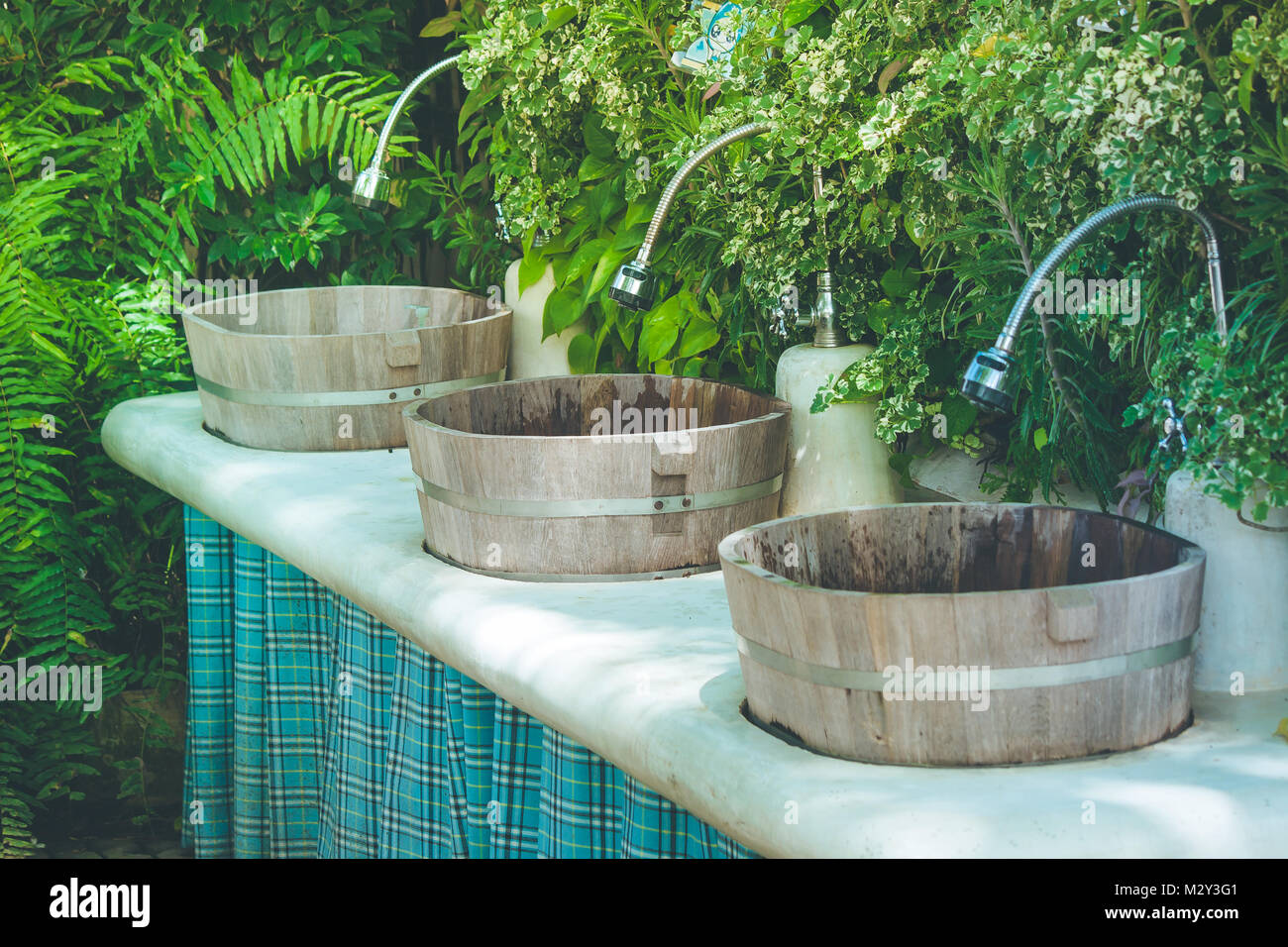 Tropical view row of wooden sinks & faucet in Japanese design with vertical plants wall background at outdoor garden. Stock Photo