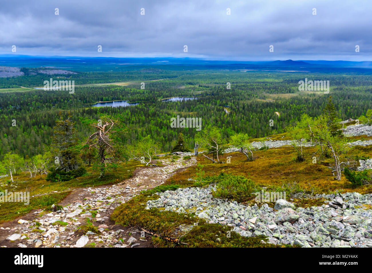 Landscape from the summit of Ukko-Luosto Fell, in Pyha-Luosto National Park, Lapland, Finland Stock Photo