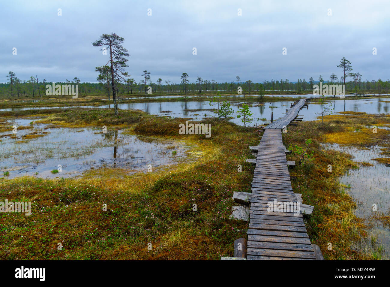 Footpath of duckboards over a marshland, along the Tunturiaapa Trail, in Pyha-Luosto National Park, Lapland, Finland Stock Photo