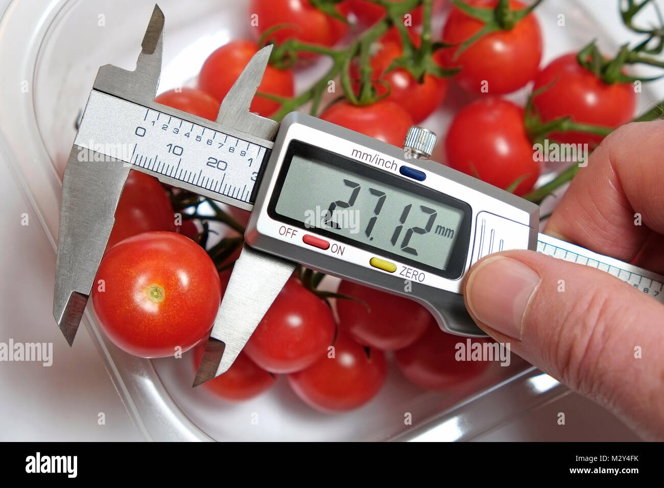 measuring tomato with digital callipers Stock Photo