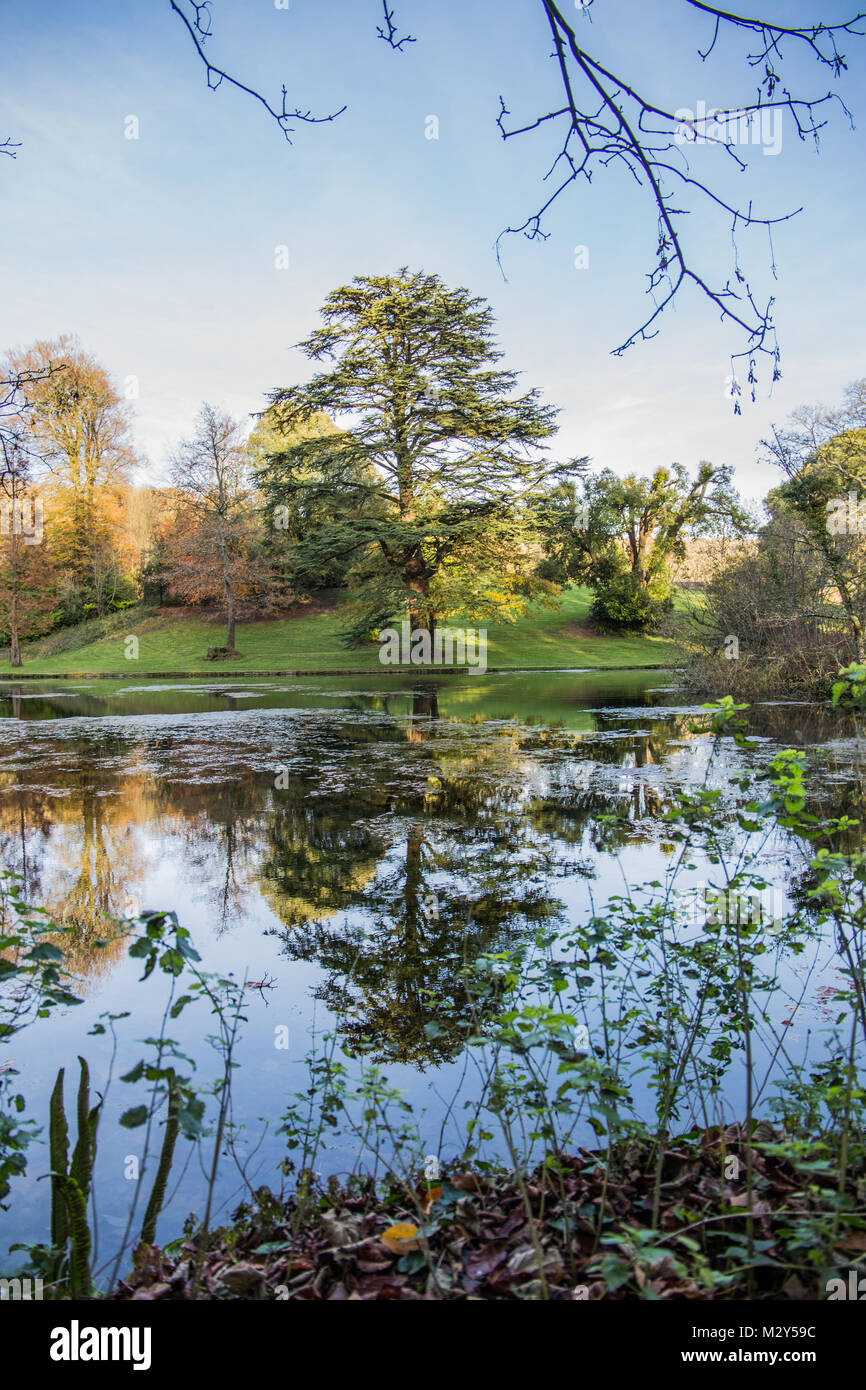 Autumn trees reflection on lake of river bride's Littlebredy, Dorset