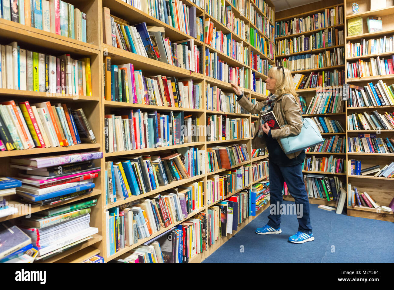 Woman browsing a large display of second hand books in a floor to ceiling bookcase at Book Barn International, High Littleton near Bath, Somerset, UK Stock Photo