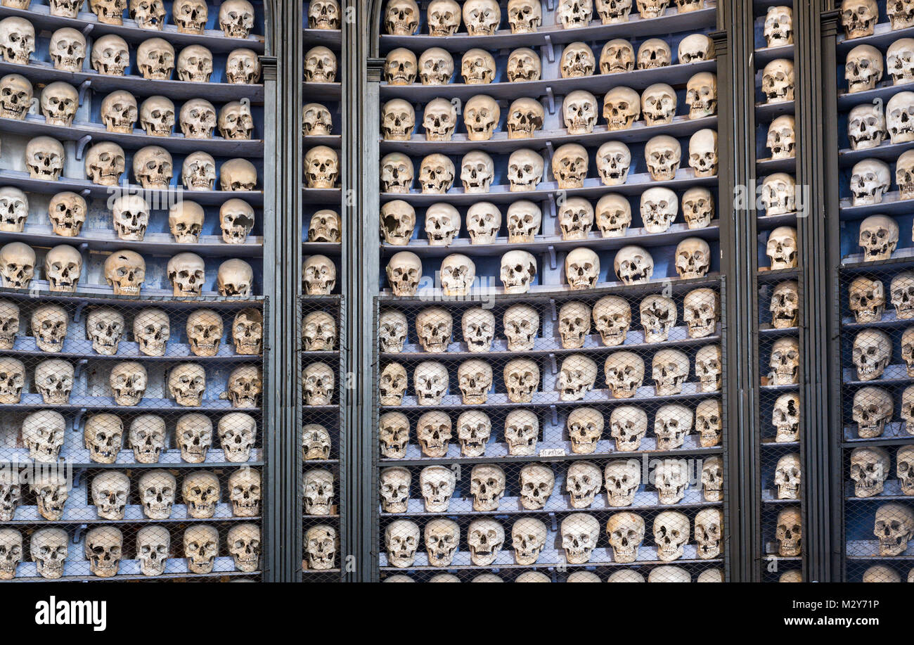 Skulls within the ossuary of the church of San Pietro, Solferino, Lombardy, Italy contains the bones of 2619 soldiers killed battle of Solferino Stock Photo