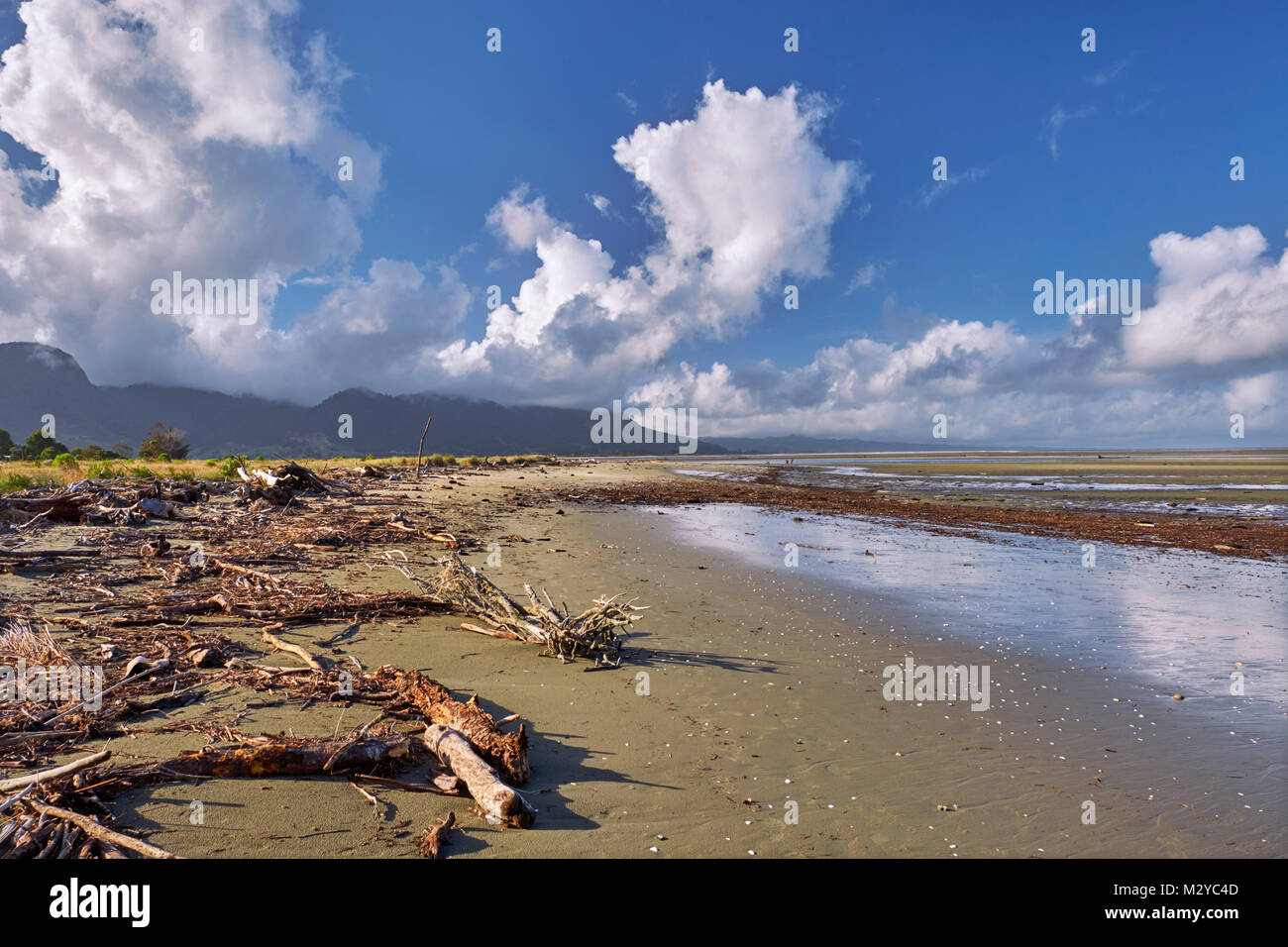 Driftwood on the beach at low tide. Golden Bay, Collingwood, Nelson