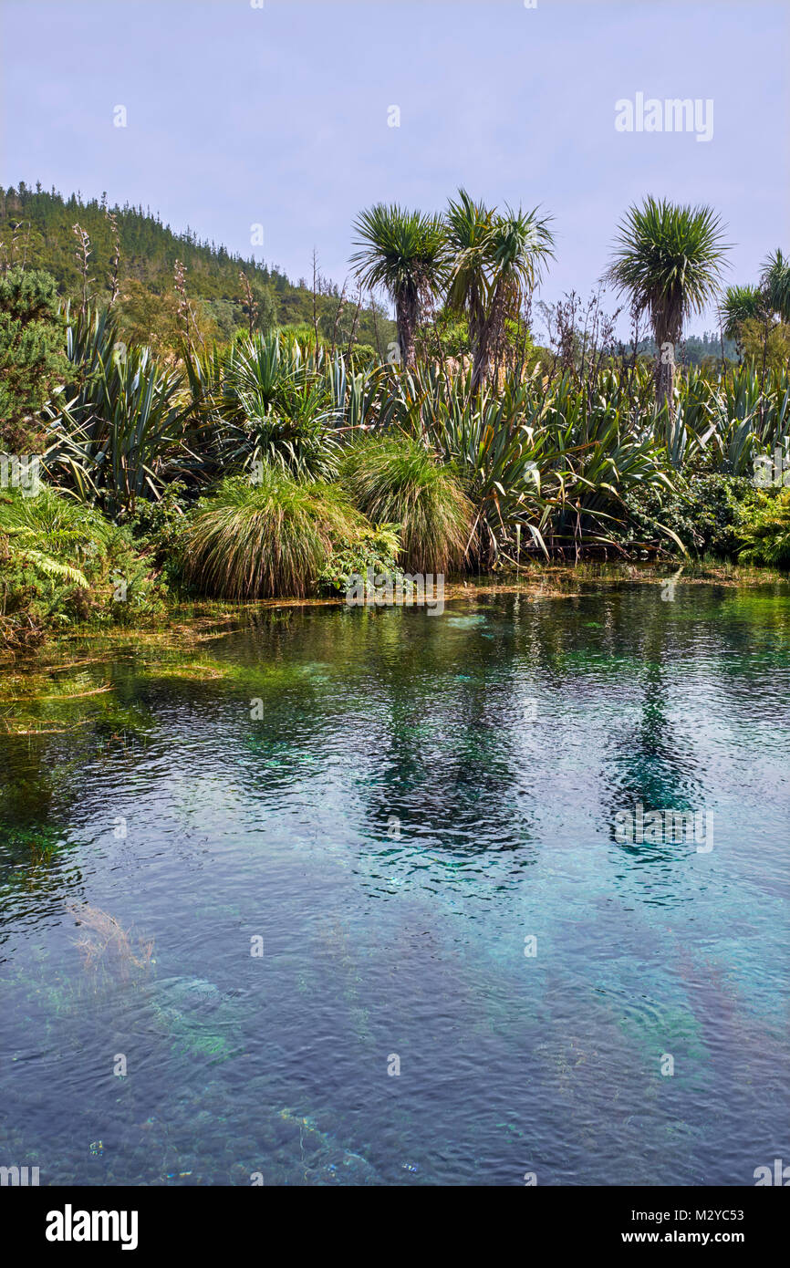 Te Waikoropupu Springs. Takaka, Nelson Tasman, New Zealand Stock Photo