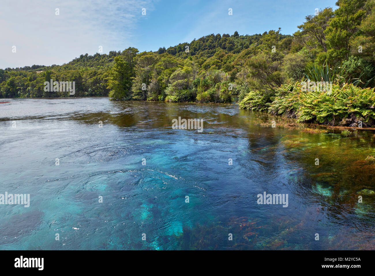 Te Waikoropupu Springs.  Takaka, Nelson Tasman, New Zealand. Stock Photo