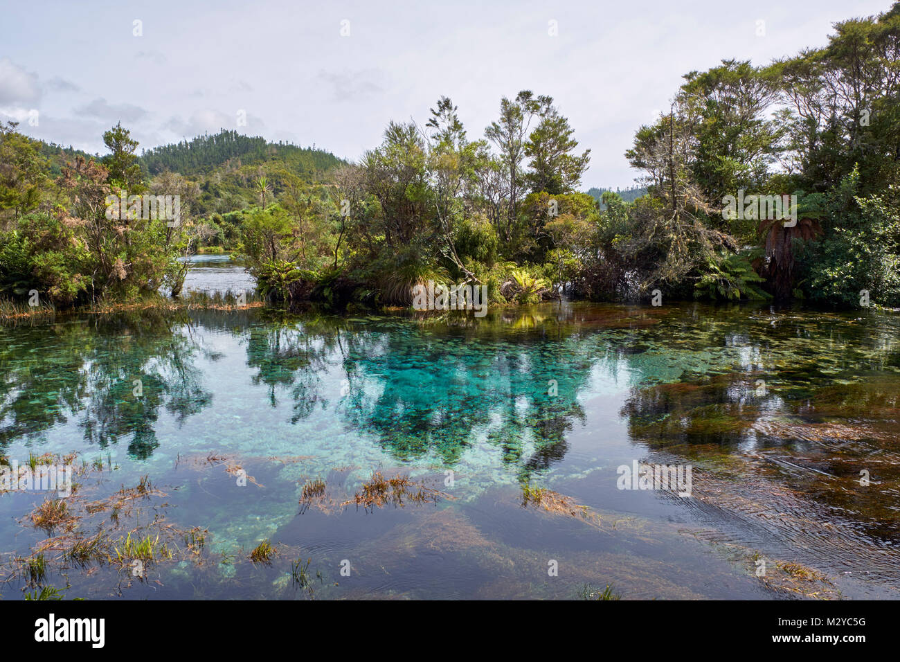 Te Waikoropupu Springs.  Takaka, Nelson Tasman, New Zealand. Stock Photo