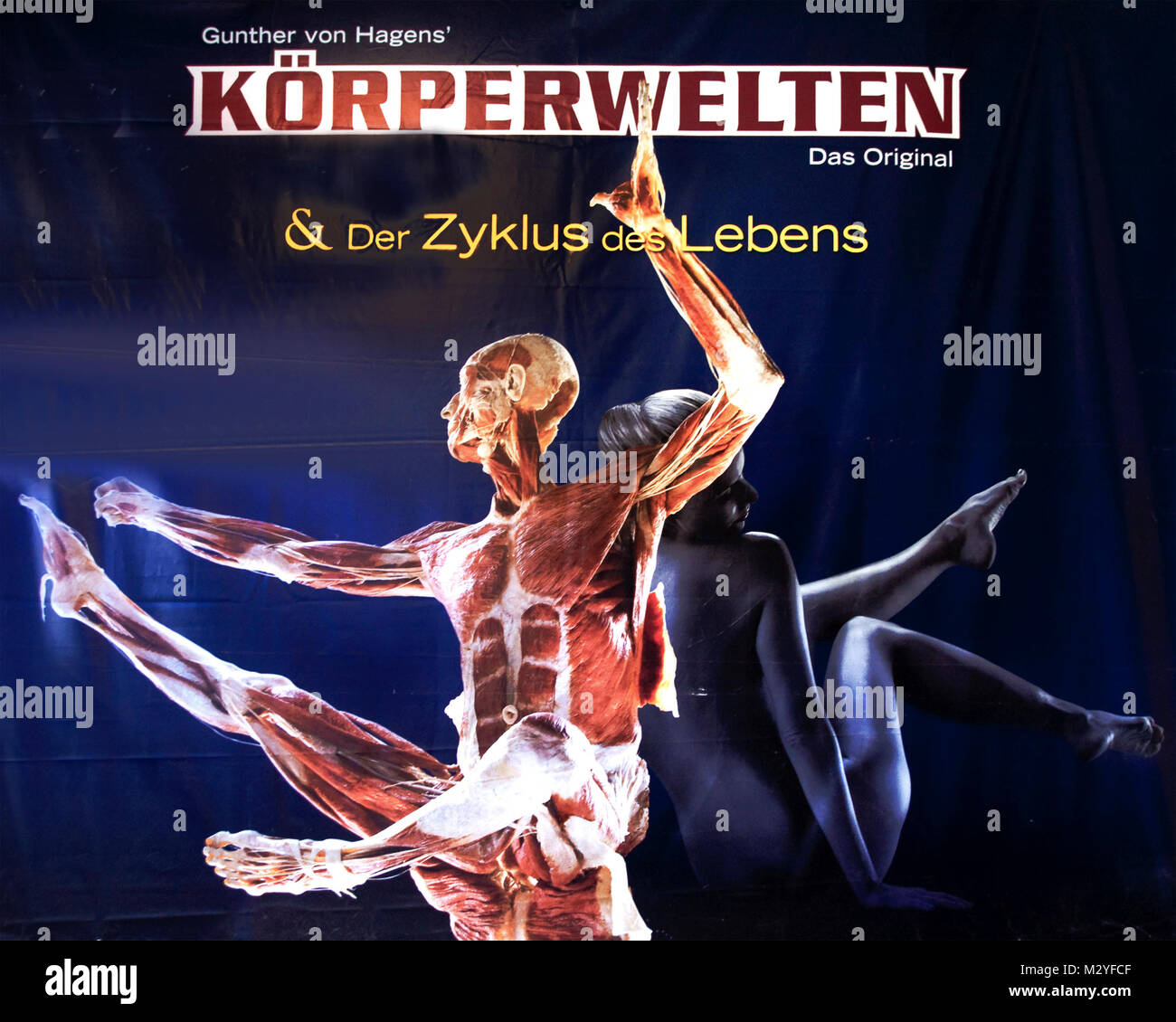 Werbeplakat der Ausstellung Körperwelten - Der Zyklus des Lebens im Berliner Postbahnhof. Stock Photo