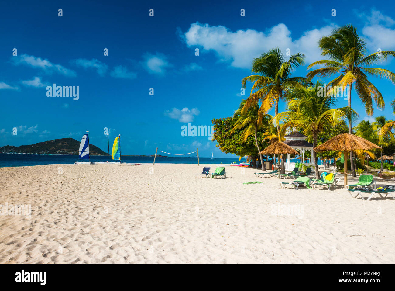Palm fringed white sand beach on Palm island, Grenadines islands, St
