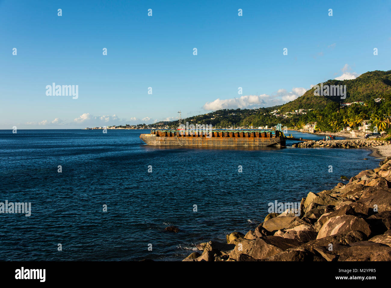 Dominica beach forest hi-res stock photography and images - Alamy