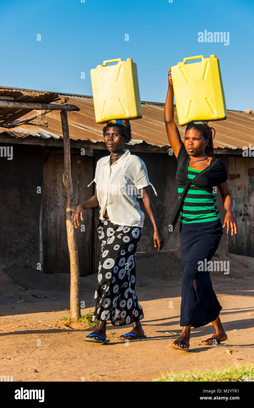 Women carrying water canisters on their head bringing water home from Lake Albert, Uganda, Africa Stock Photo