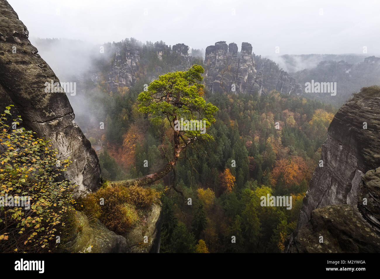 Autumn colors in the Elbsandsteingebirge (Elbe sandstone mountains) near Rathen Stock Photo