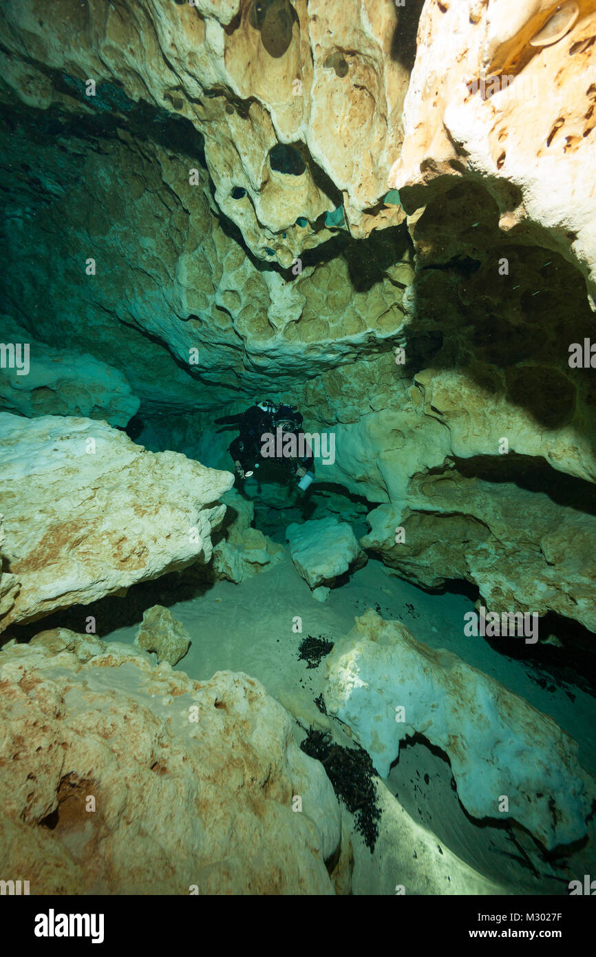 divers underwater caves diving Ginnie Springs Florida USA Stock Photo