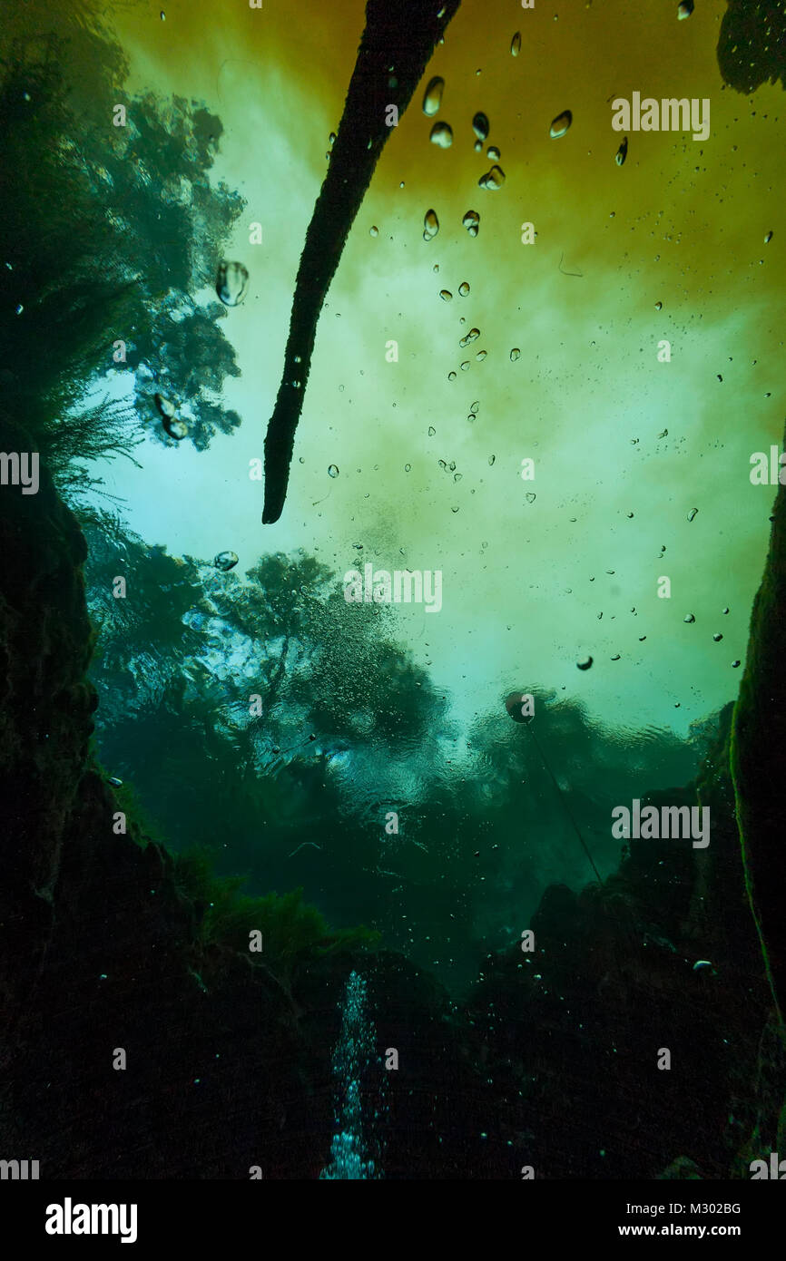 divers underwater caves diving Ginnie Springs Florida USA Stock Photo Alamy