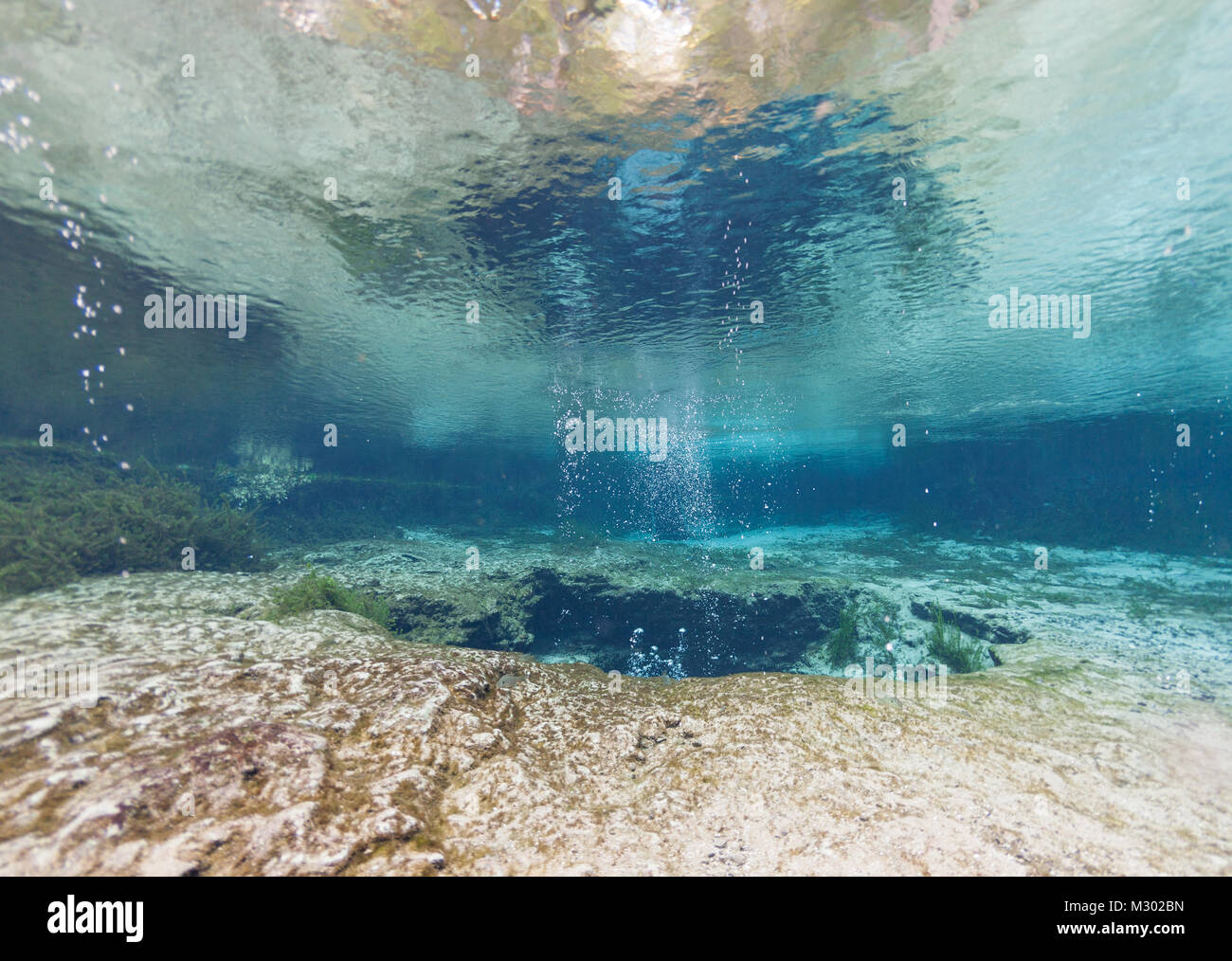 Dive into Paradise: Ginnie Springs Campground, Florida's Underwater Wonderland