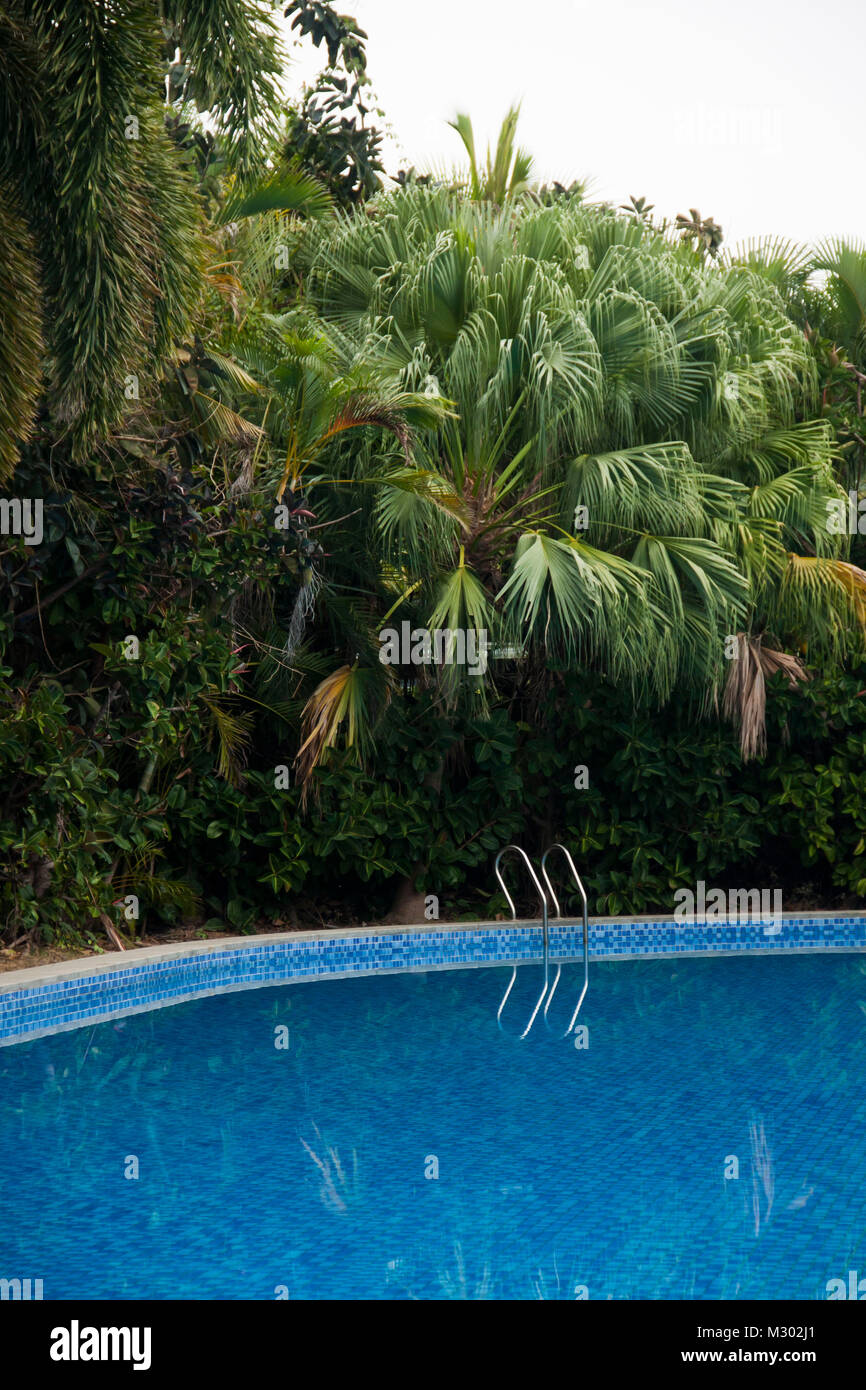 Green palm trees line a blue swimming pool at an island vacation spot in Asia. Stock Photo