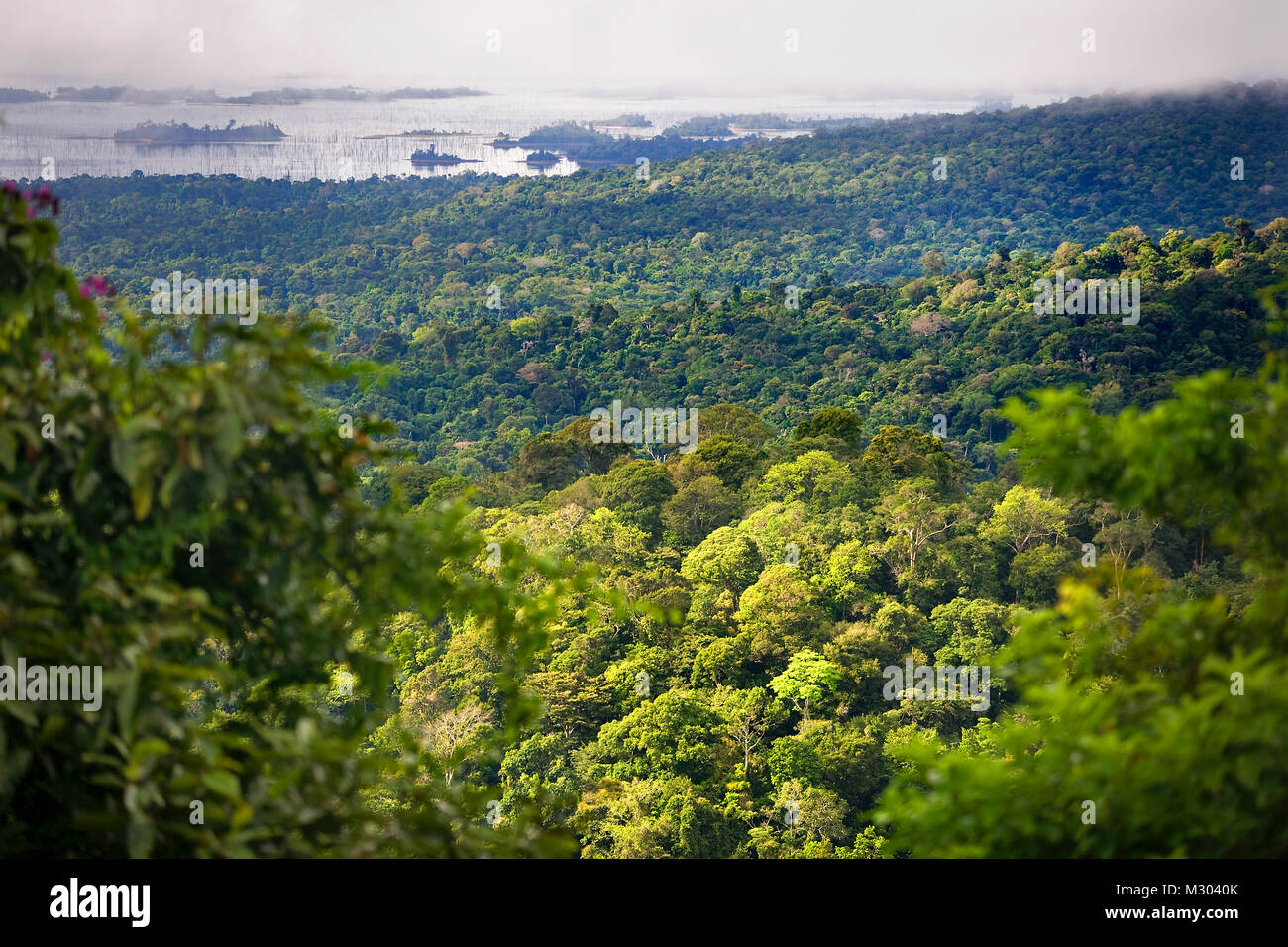 Suriname, Brownsweg, Brownsberg National Park. View on forest and Brokopondo lake. Stock Photo