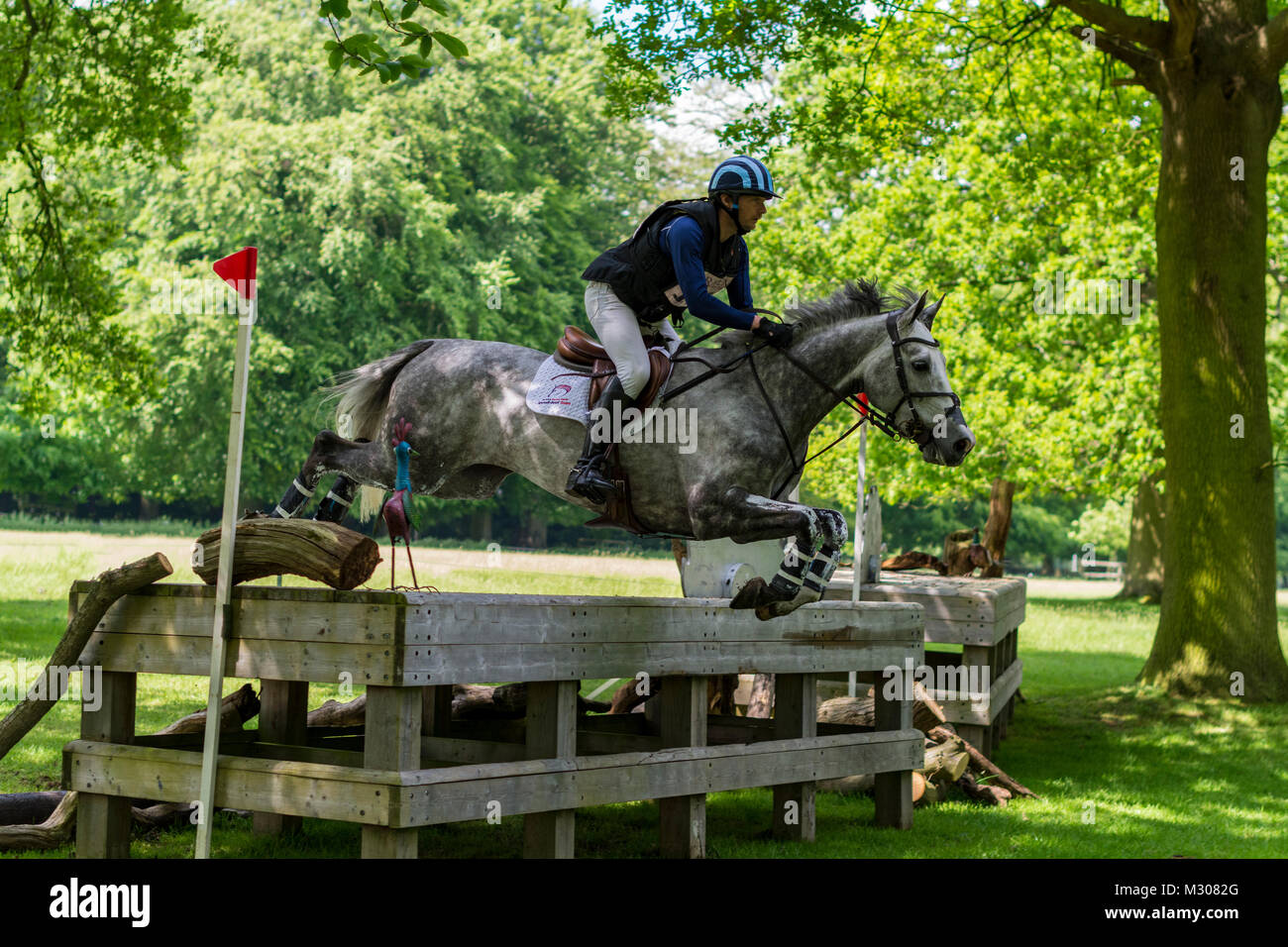 A Successful Jump at Houghton Hall 2017 Stock Photo Alamy